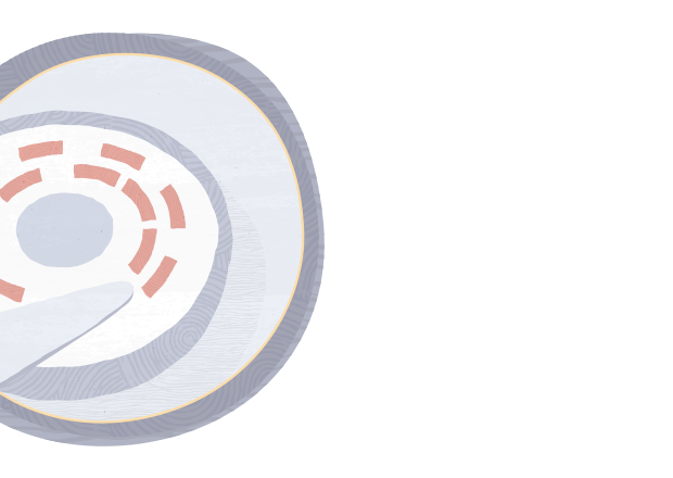 trunk/src/VBox/Frontends/VirtualBox/images/wizard_new_harddisk_bg.png