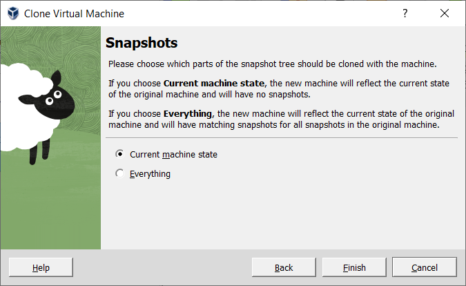 Clone Virtual Machine Wizard: Snapshots